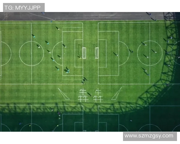 足球场上的球星行为解析：从场内表现到场外风波的深度剖析