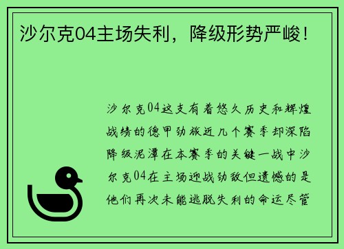 沙尔克04主场失利，降级形势严峻！